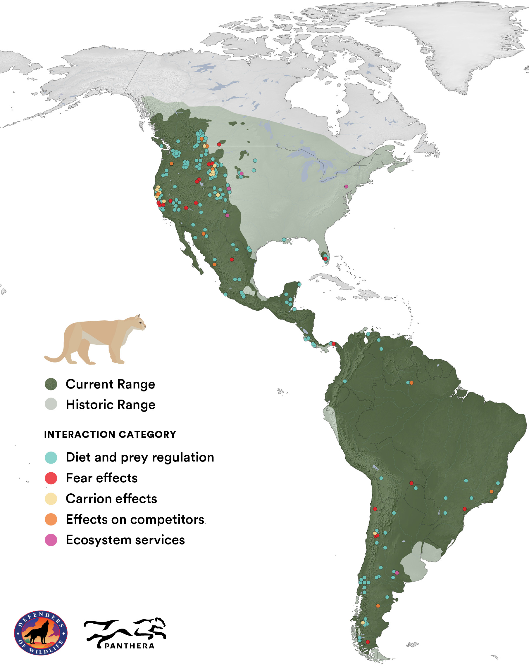 Puma Power Defenders of Wildlife